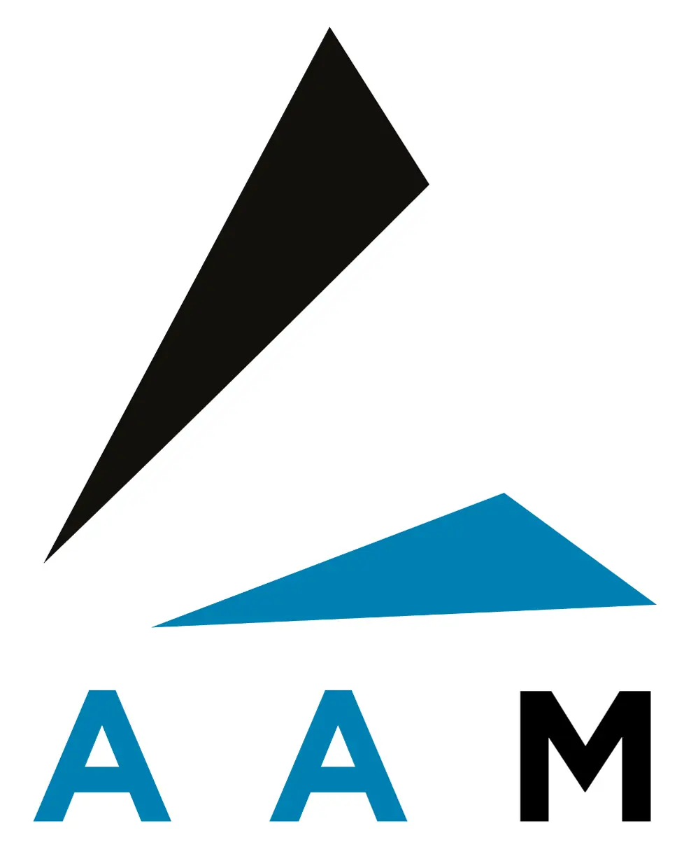 Audit-AAM